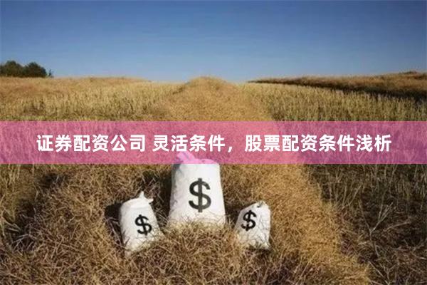 证券配资公司 灵活条件，股票配资条件浅析