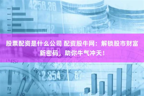 股票配资是什么公司 配资股牛网：解锁股市财富新密码，助你牛气冲天！